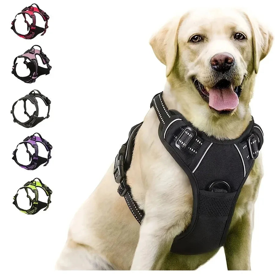 Kit Coleira + Peitoral + Guia para Cães – Acessórios Completos para Passeio