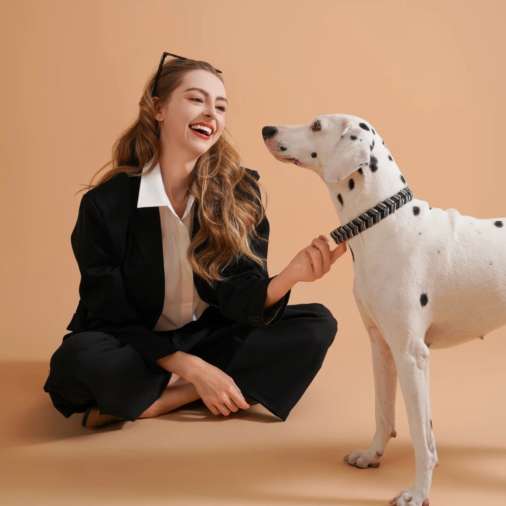 Coleira Fashion Colorida para Cães - Pequeno, Médio e Grande Porte