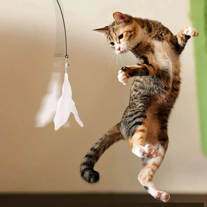 Varinha Interativa com Sino e Penas para Gatos – Brinquedo com Ventosa e Haste Longa