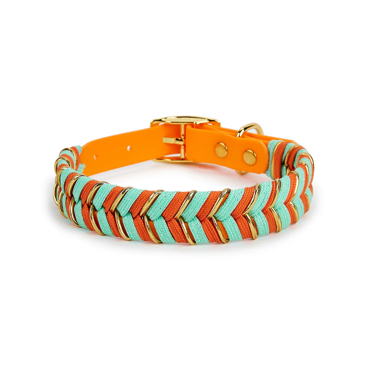 Coleira Fashion Colorida para Cães - Pequeno, Médio e Grande Porte