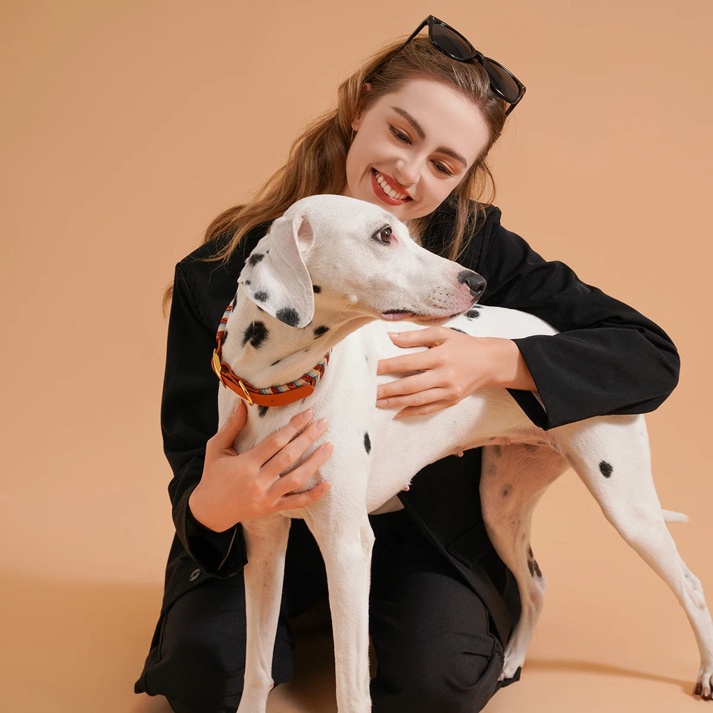 Coleira Fashion Colorida para Cães - Pequeno, Médio e Grande Porte