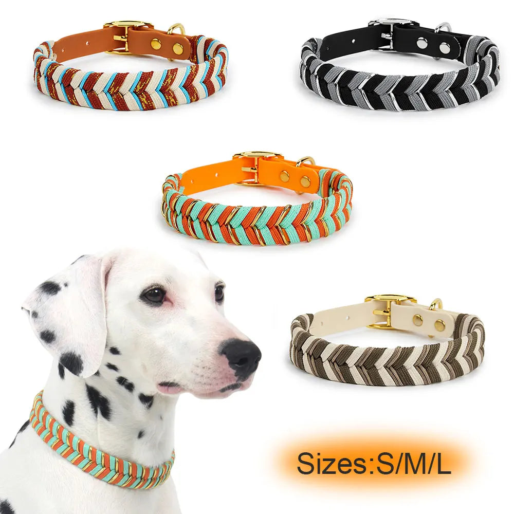 Coleira Fashion Colorida para Cães - Pequeno, Médio e Grande Porte