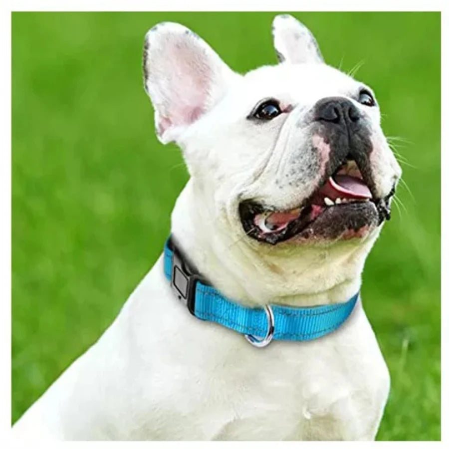 Coleira para Cães em Nylon - Acolchoada, Ajustável e Refletiva com Plaquinha de Identificação