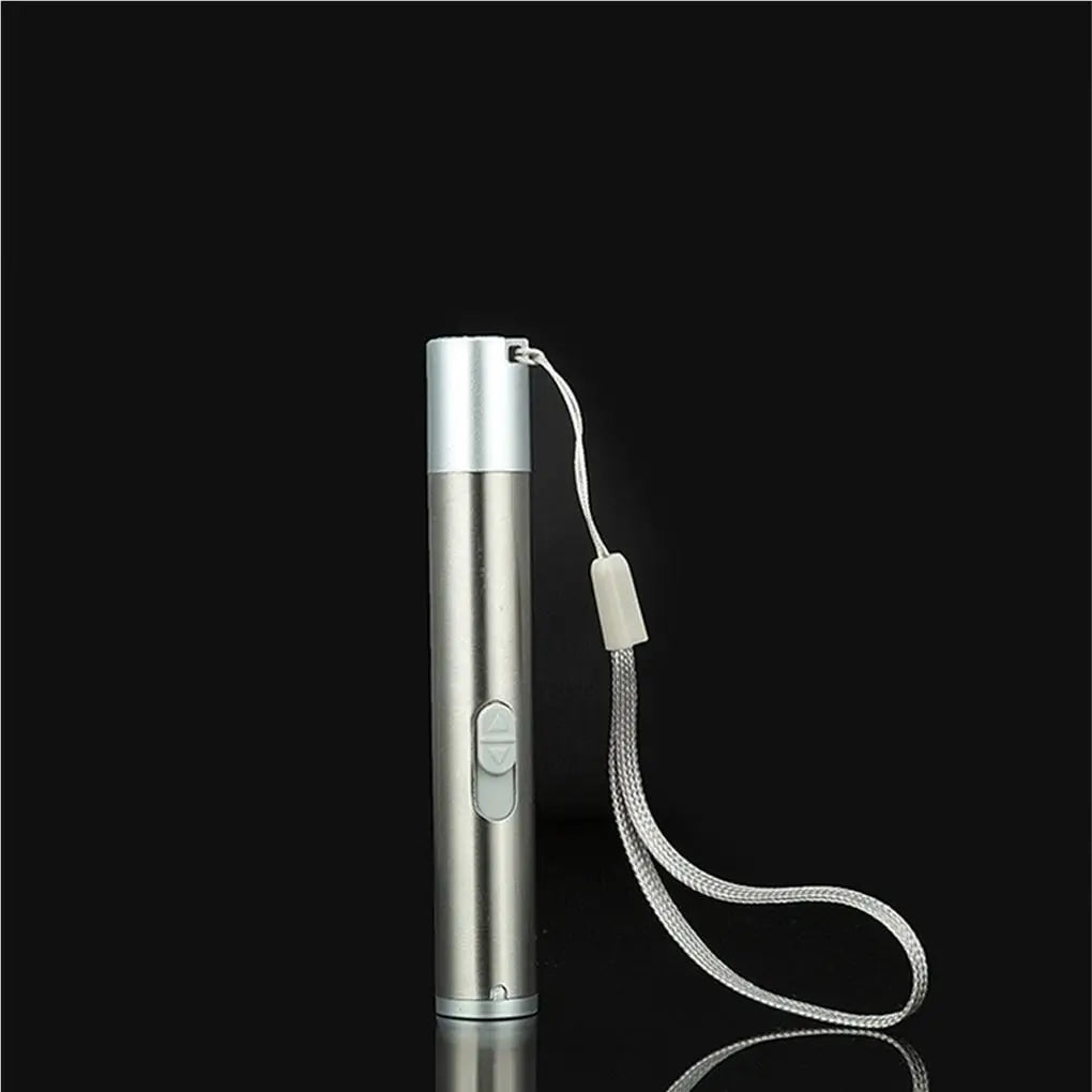 Caneta Laser 3 em 1 Recarregável via USB para Pets – Laser, Lanterna e UV