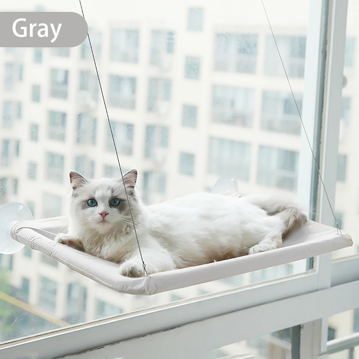 Rede Suspensa de Janela para Gatos – Cama Hammock com Fixação por Ventosa (até 20 kg)