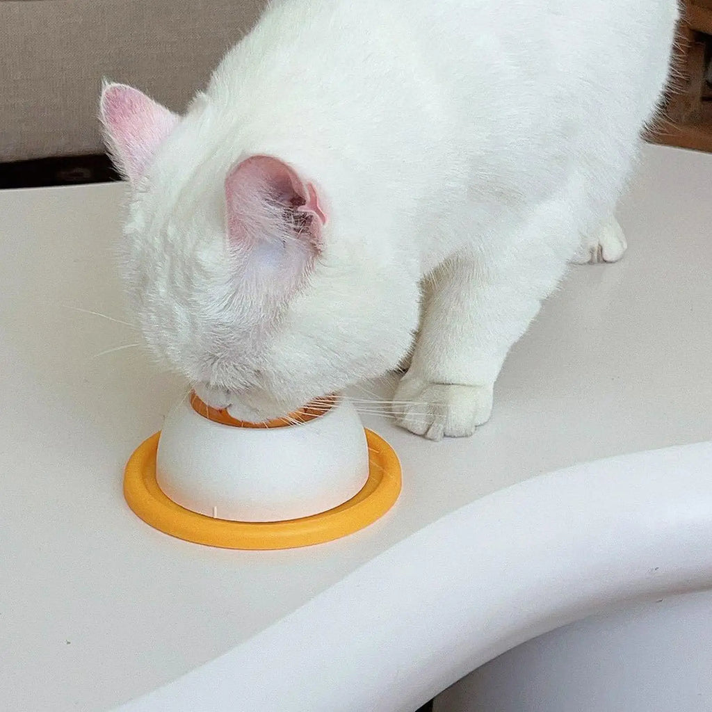 Tigela Slow Feeder para Cães e Gatos – Alimentação Lenta Antiderrapante com Catnip