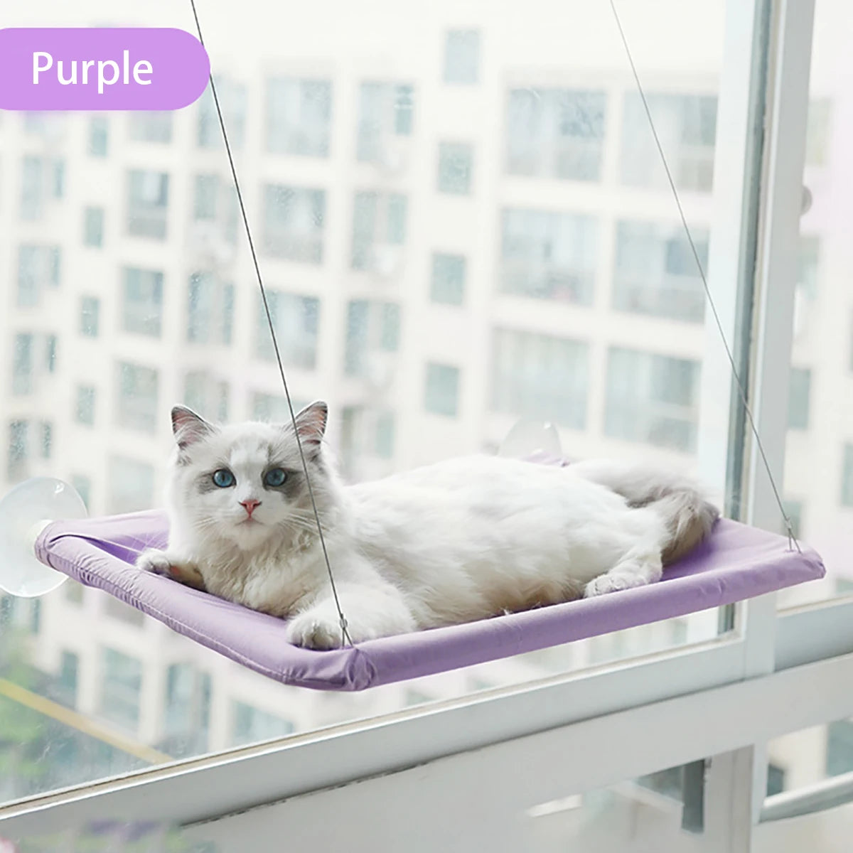 Rede Suspensa de Janela para Gatos – Cama Hammock com Fixação por Ventosa (até 20 kg)