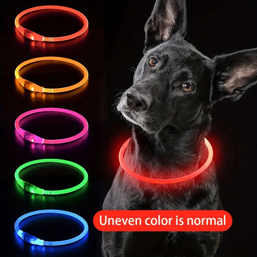 Coleira LED Luminosa para Cães – Recarregável via USB para Passeios Noturnos Seguros