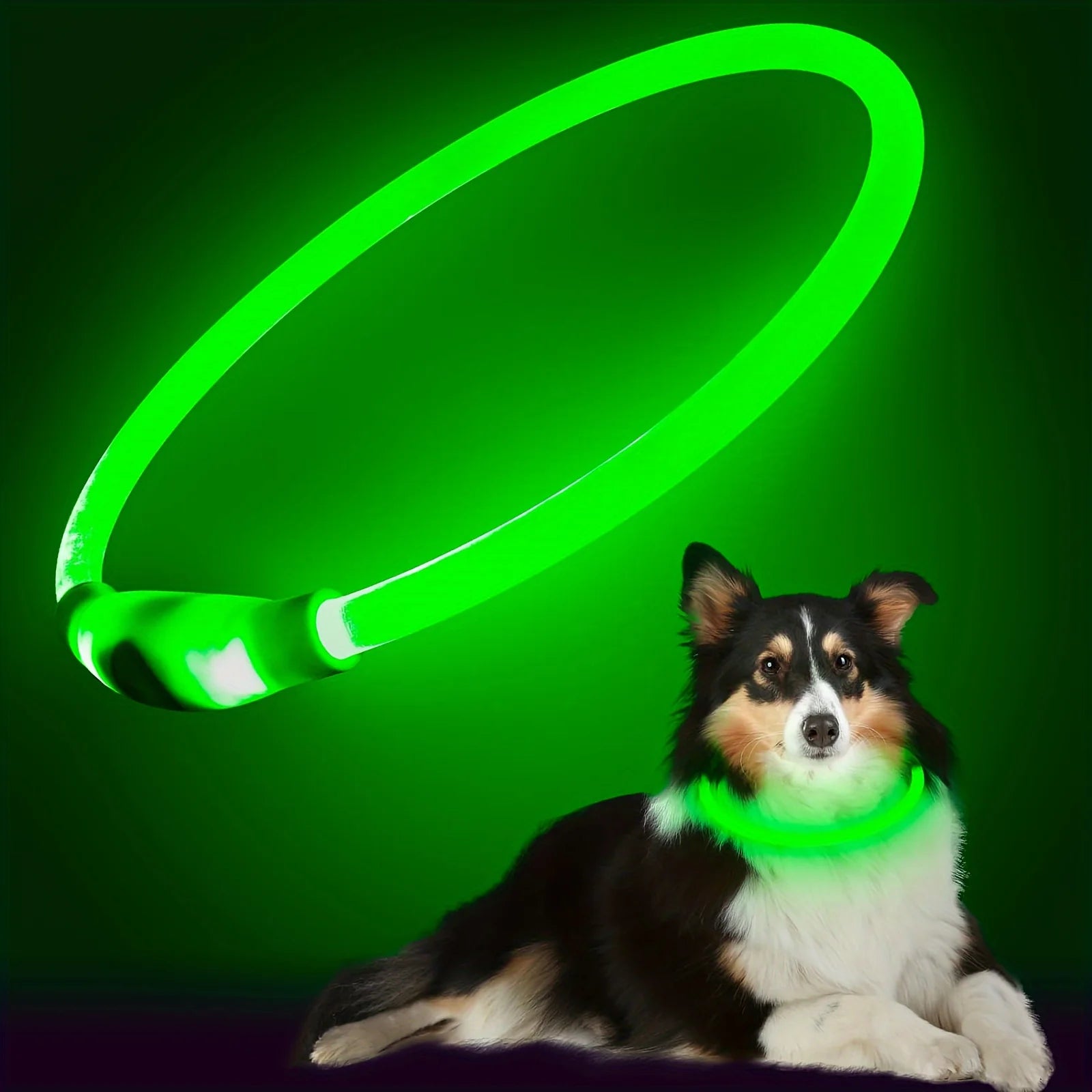 Coleira LED Luminosa para Cães – Recarregável via USB para Passeios Noturnos Seguros