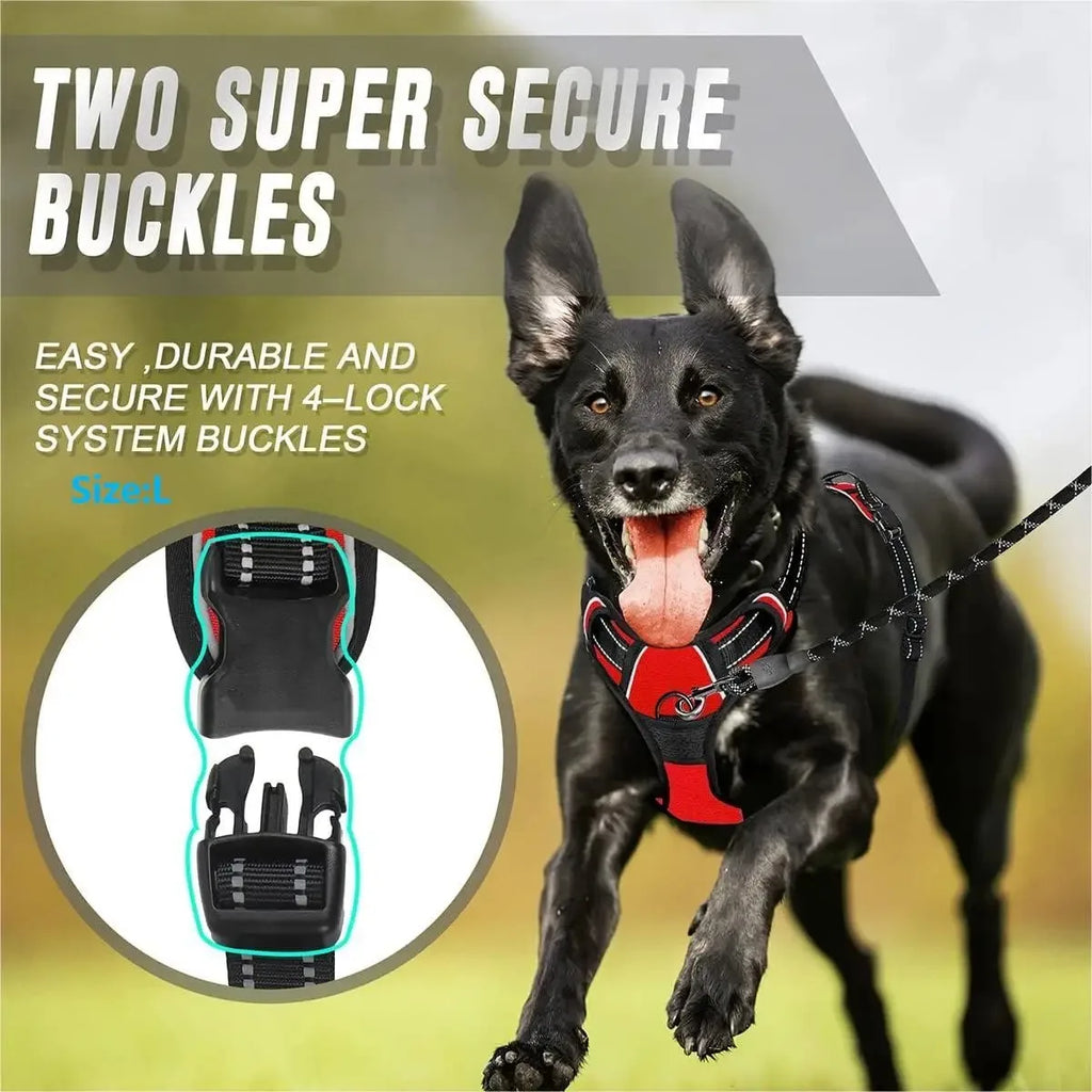Kit Coleira + Peitoral + Guia para Cães – Acessórios Completos para Passeio