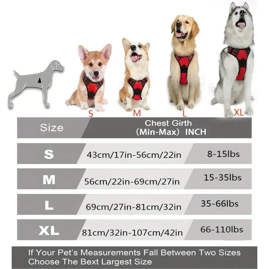 Kit Coleira + Peitoral + Guia para Cães – Acessórios Completos para Passeio