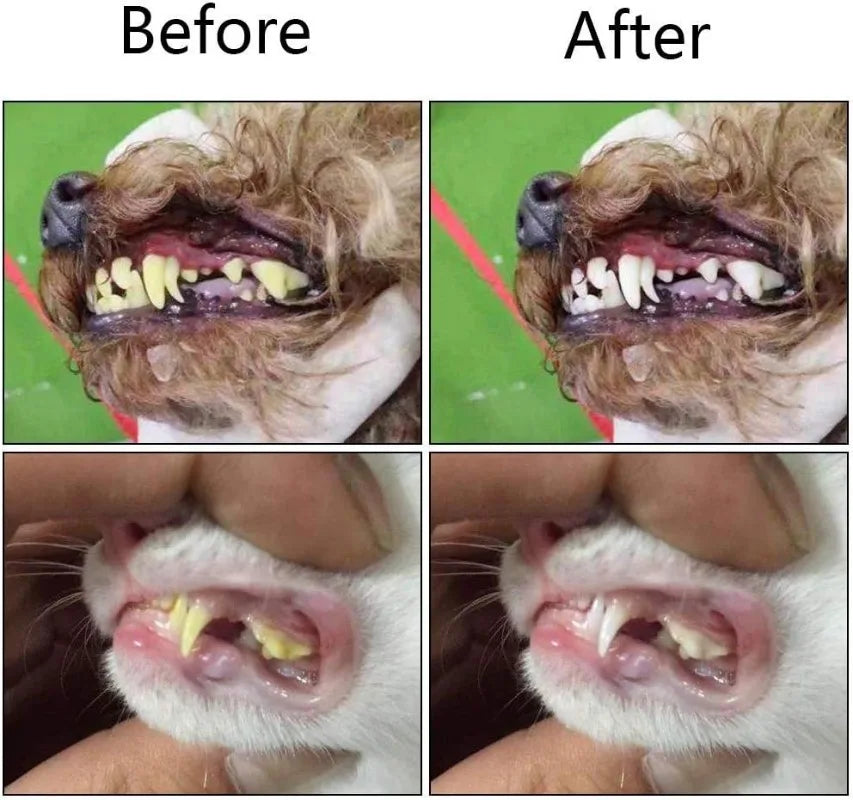 Kit Dedal Escova Dental de Silicone para Pets – Higiene Bucal para Cães e Gatos em Casa