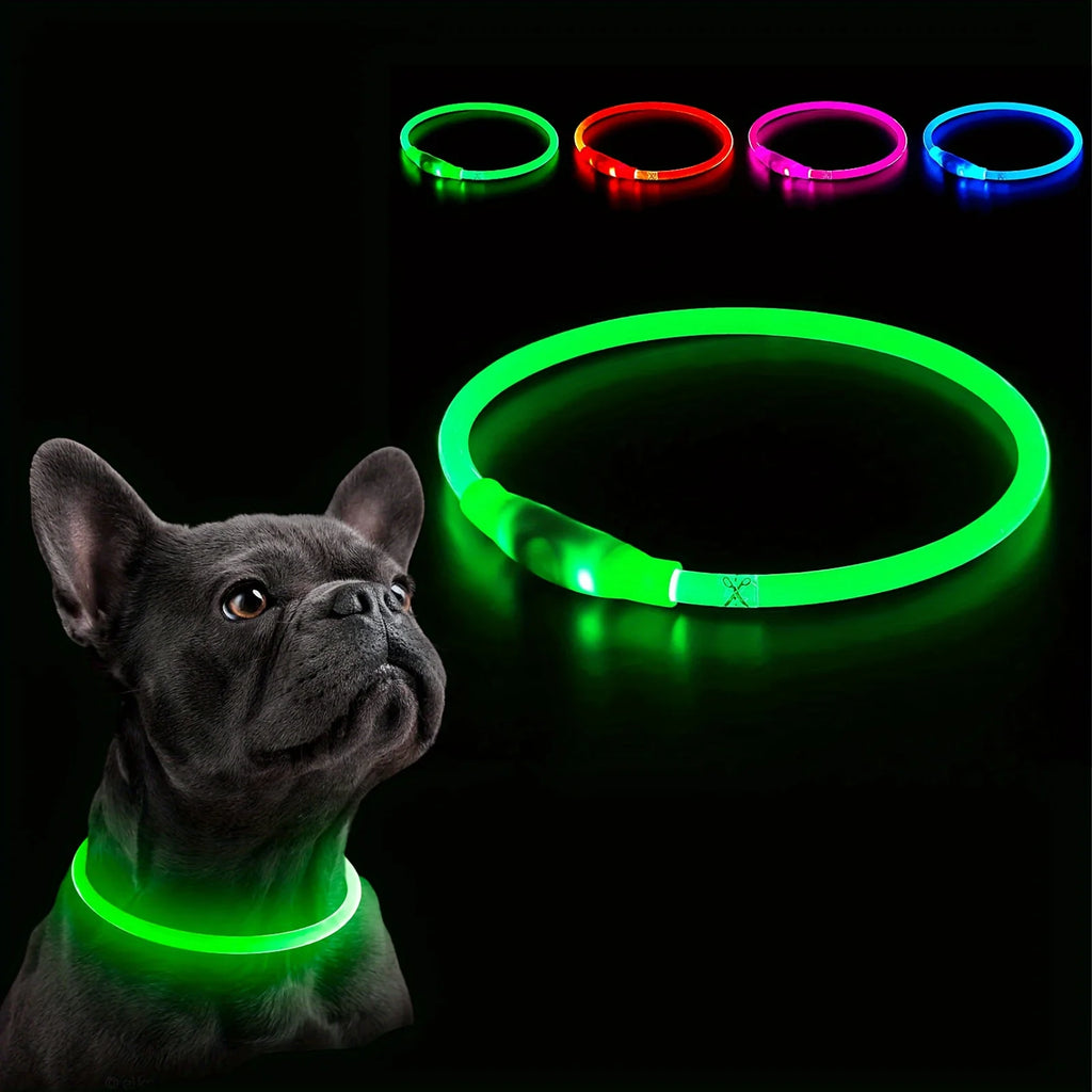Coleira LED Luminosa para Cães – Recarregável via USB para Passeios Noturnos Seguros