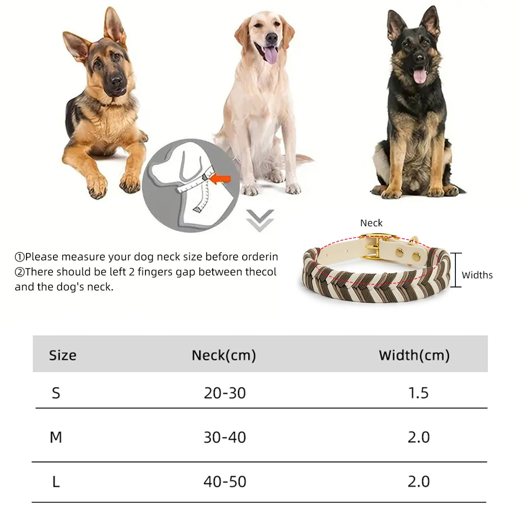 Coleira Fashion Colorida para Cães - Pequeno, Médio e Grande Porte