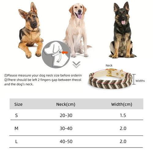 Coleira Fashion Colorida para Cães - Pequeno, Médio e Grande Porte